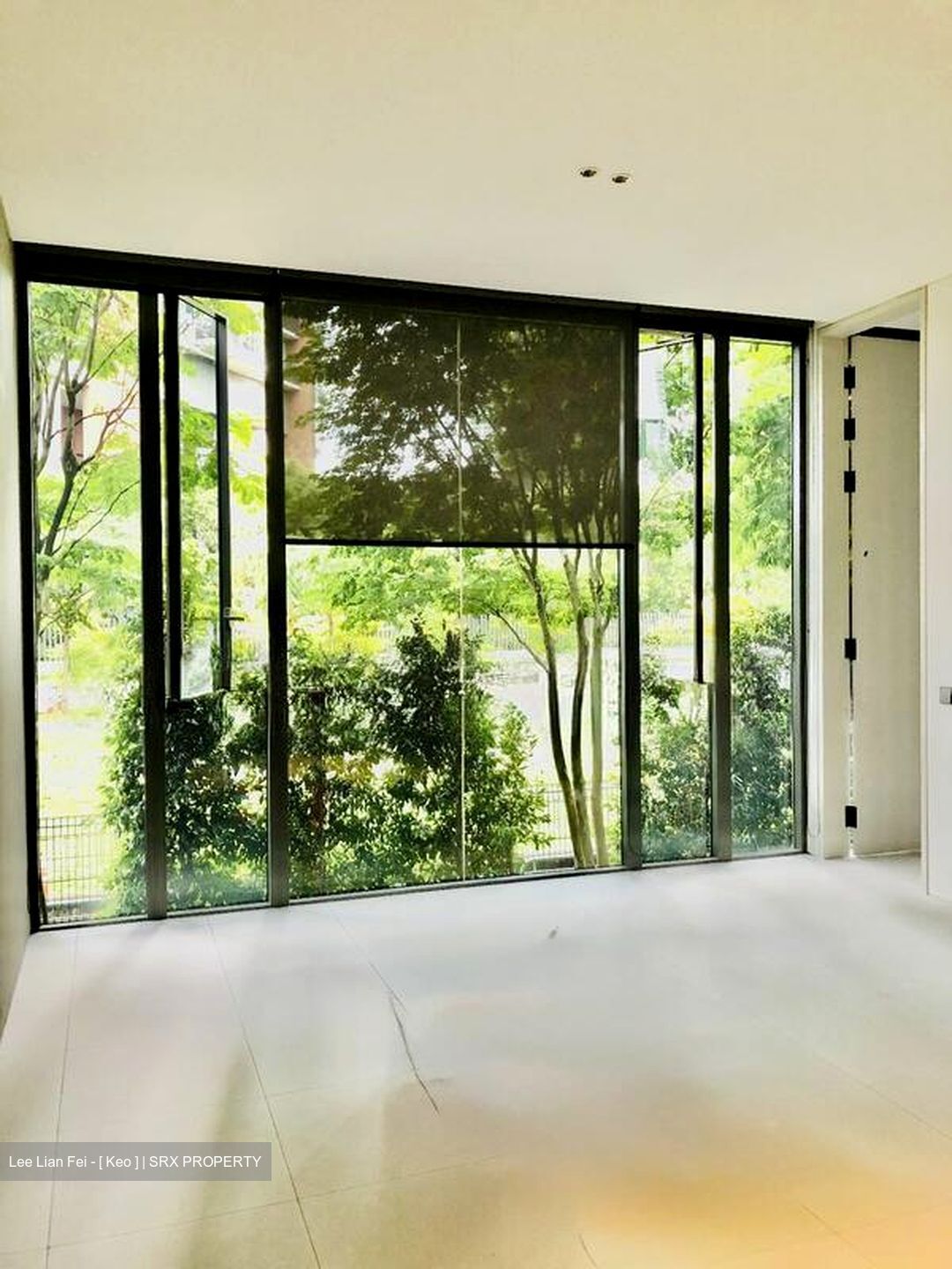 PETIT JERVOIS (D10), Apartment #504327471